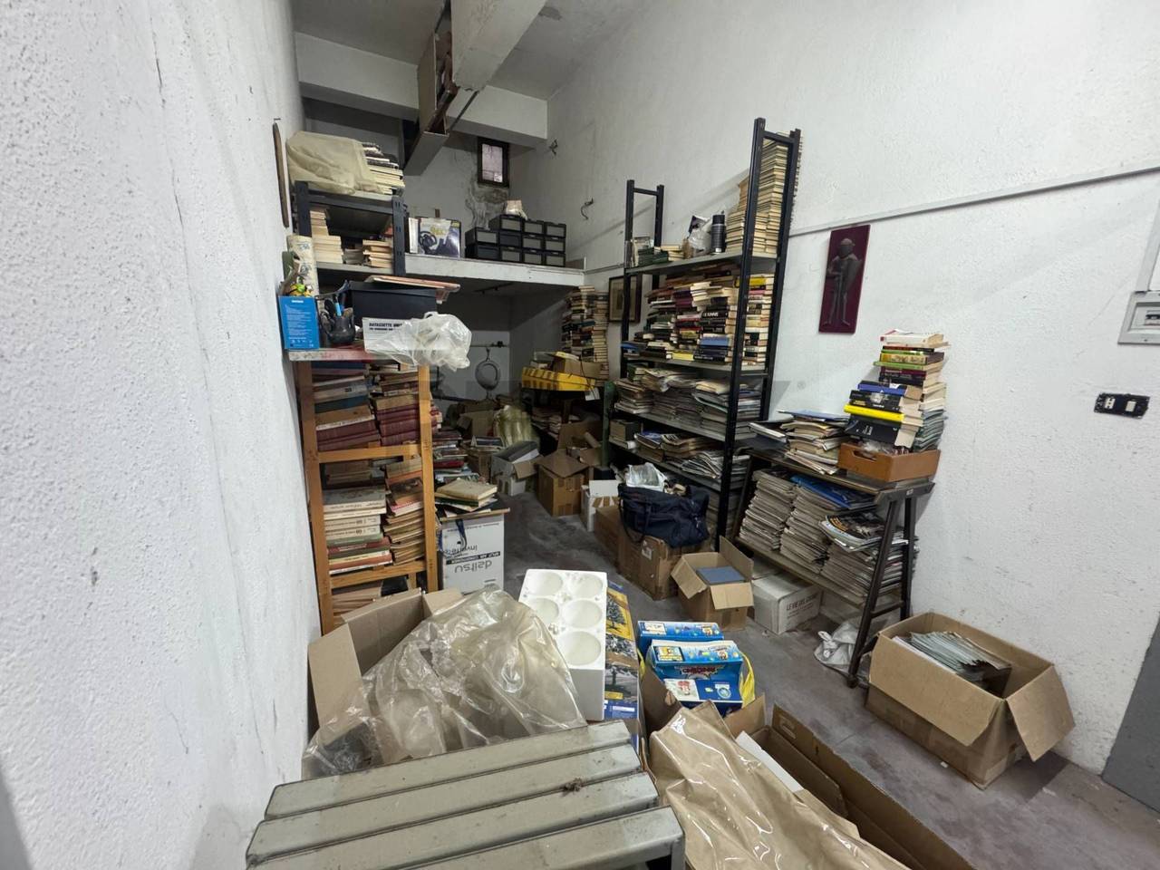 immagine annuncio 11 di 15