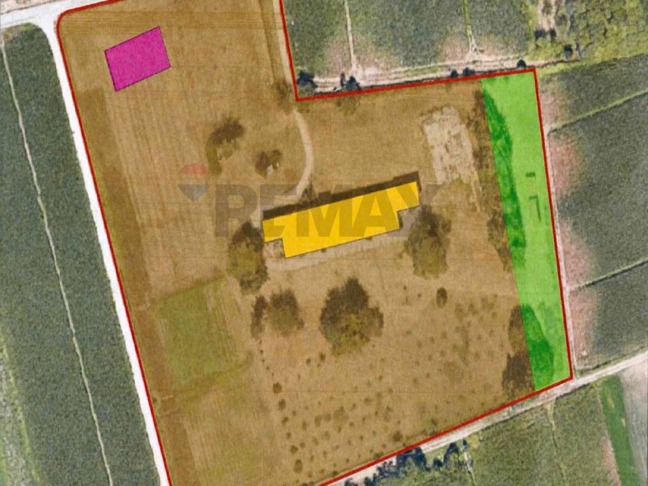 immagine annuncio 10 di 11