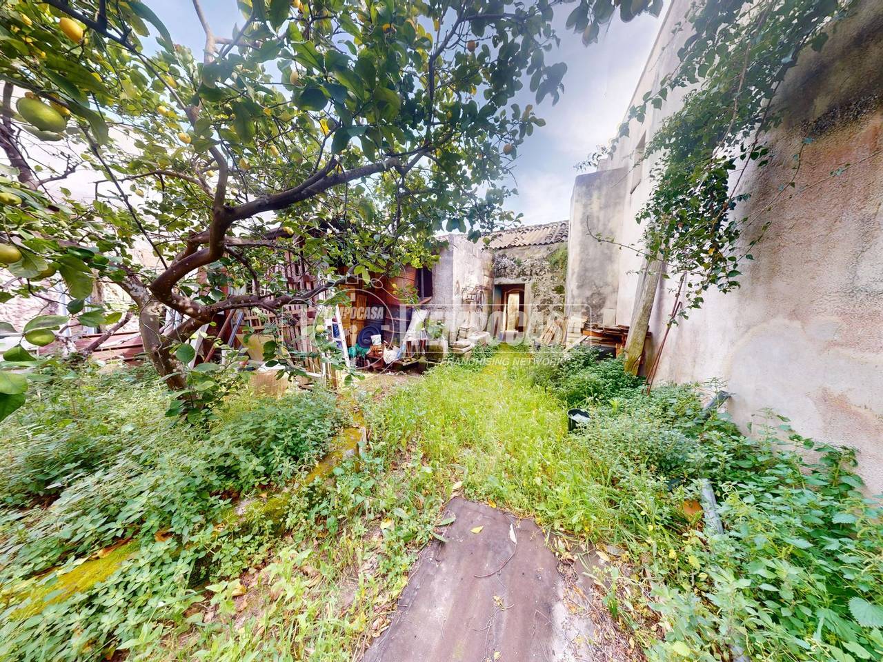 immagine annuncio 12 di 14