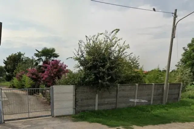 insertion image