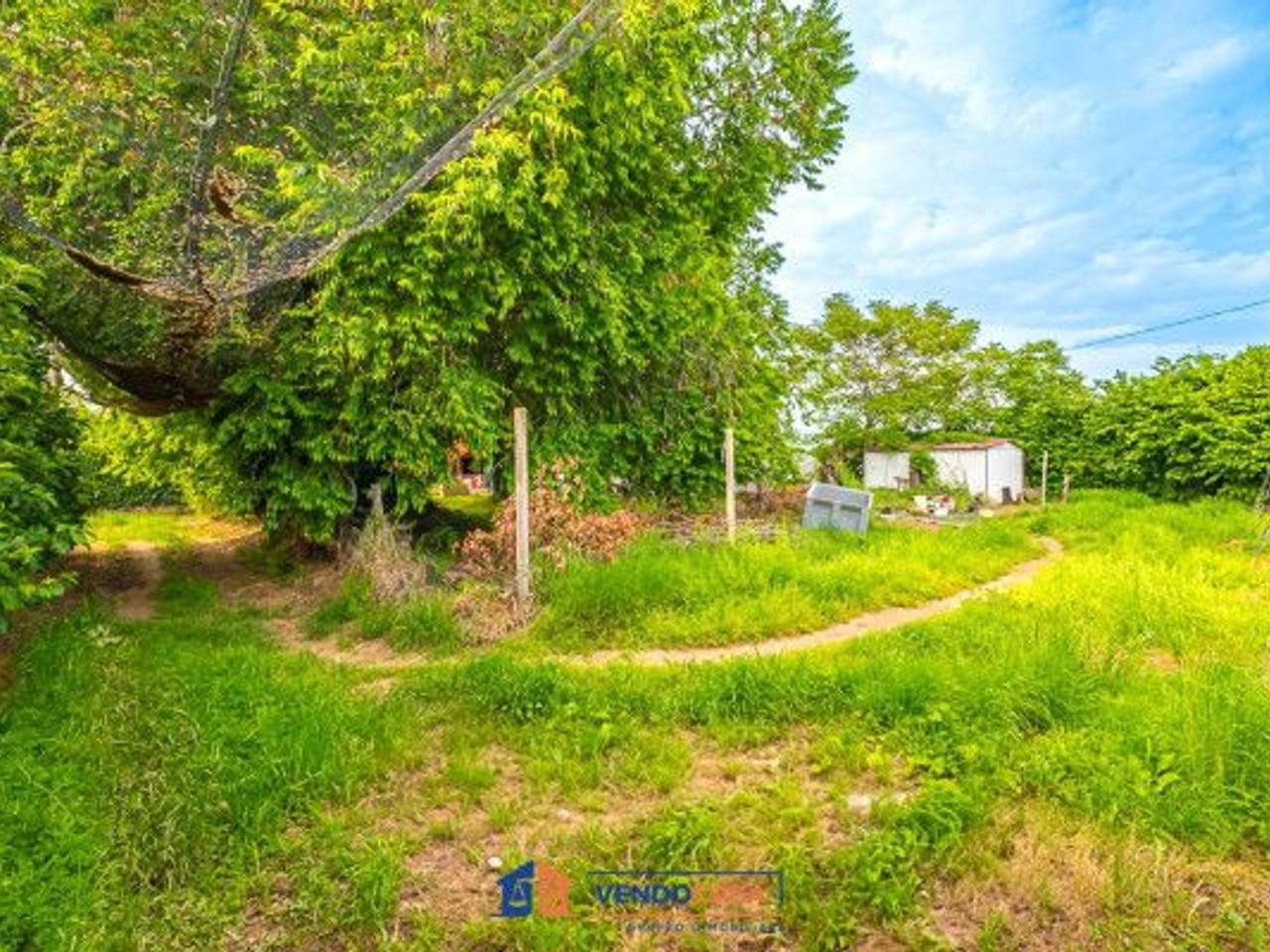 immagine annuncio 4 di 9