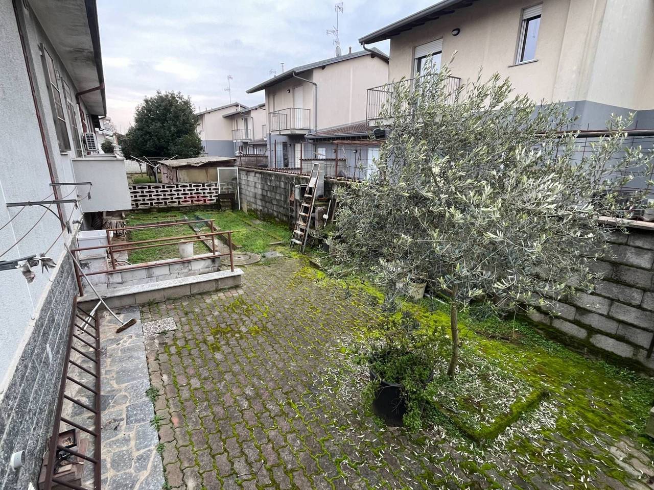 immagine annuncio 7 di 15