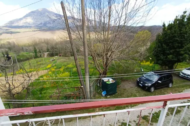 insertion image
