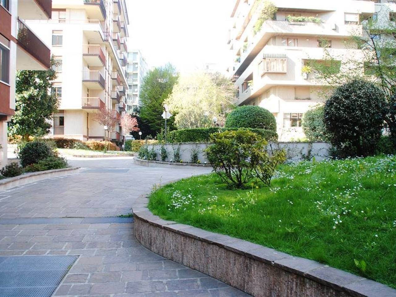 immagine annuncio 4 di 14