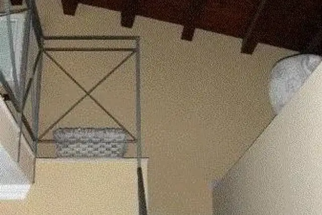 insertion image
