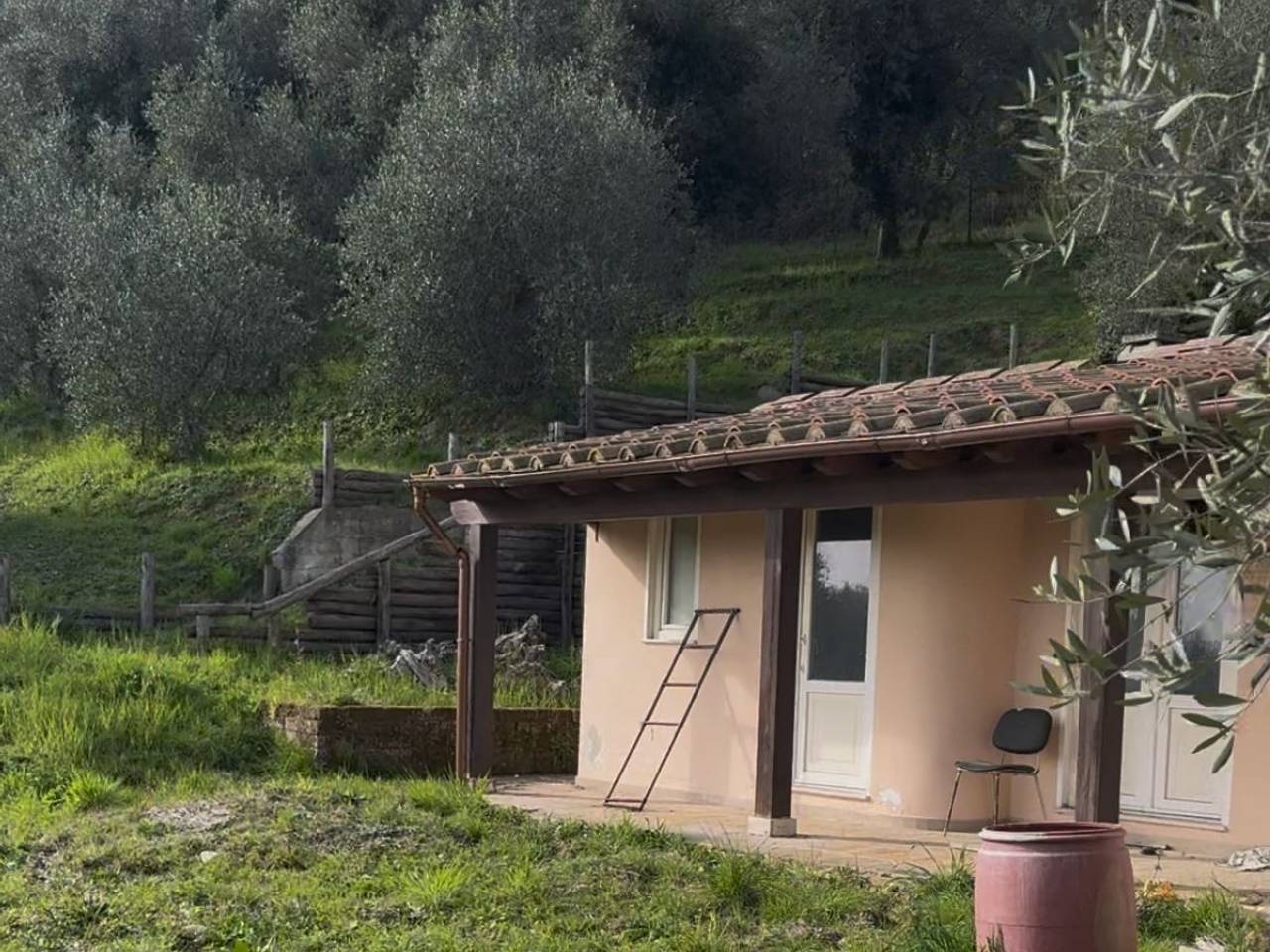 immagine annuncio 7 di 13