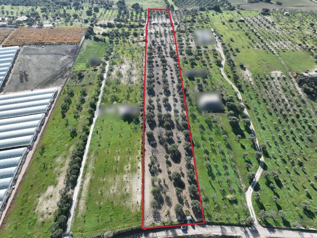 immagine annuncio 1 di 13