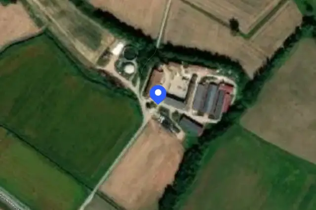 insertion image