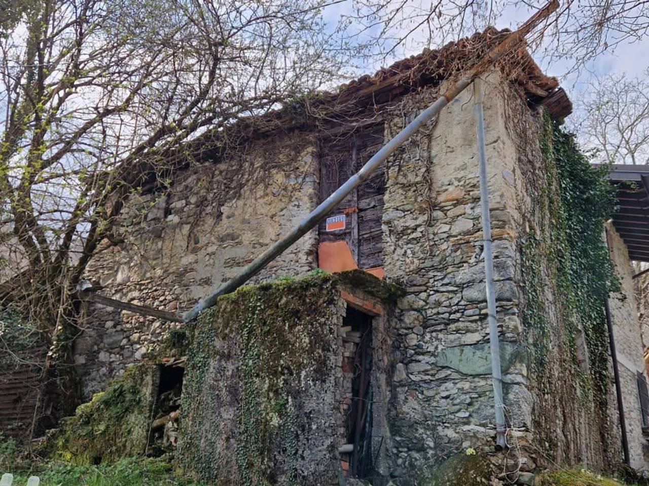 immagine annuncio 2 di 14
