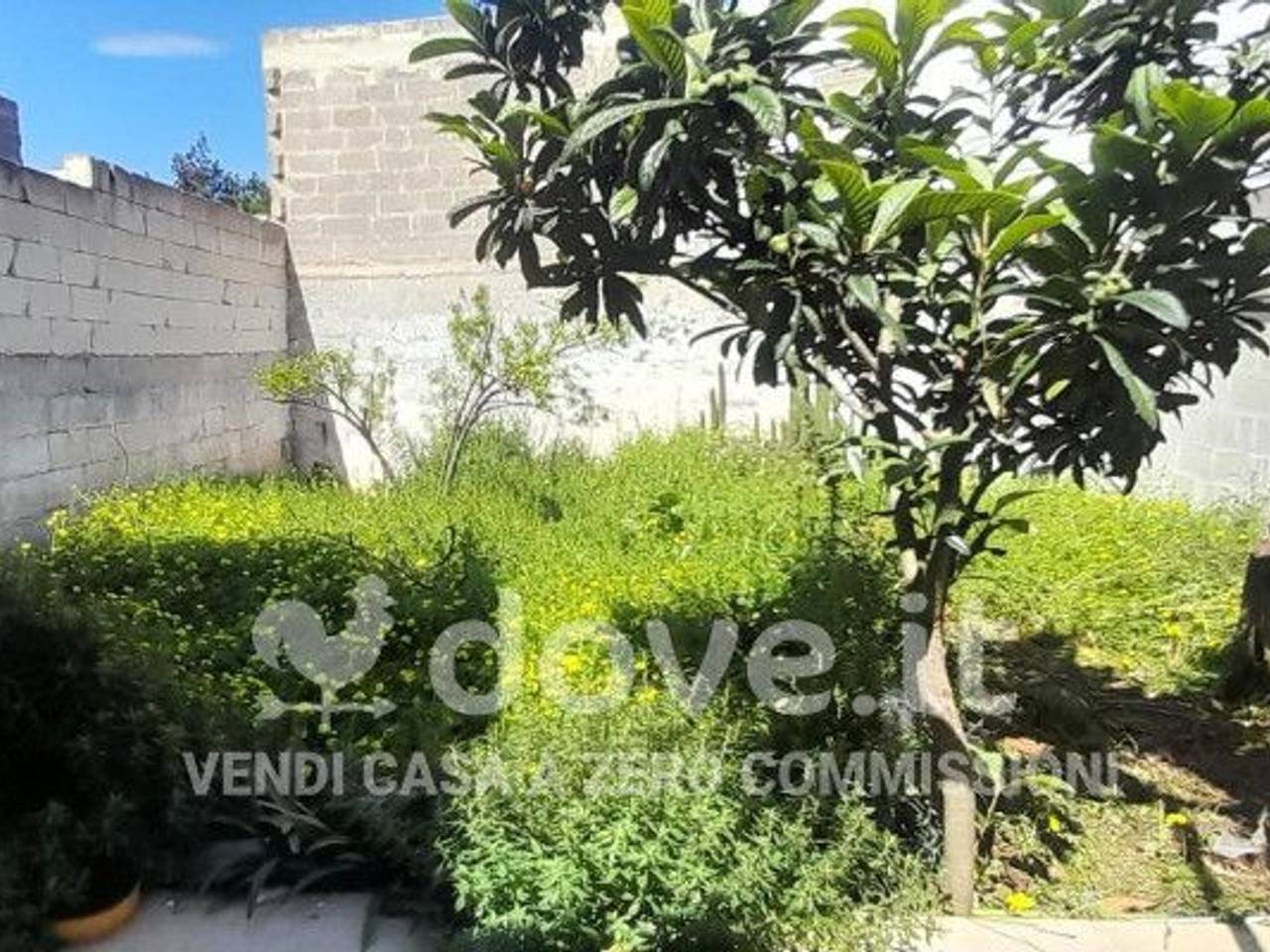 immagine annuncio 11 di 13