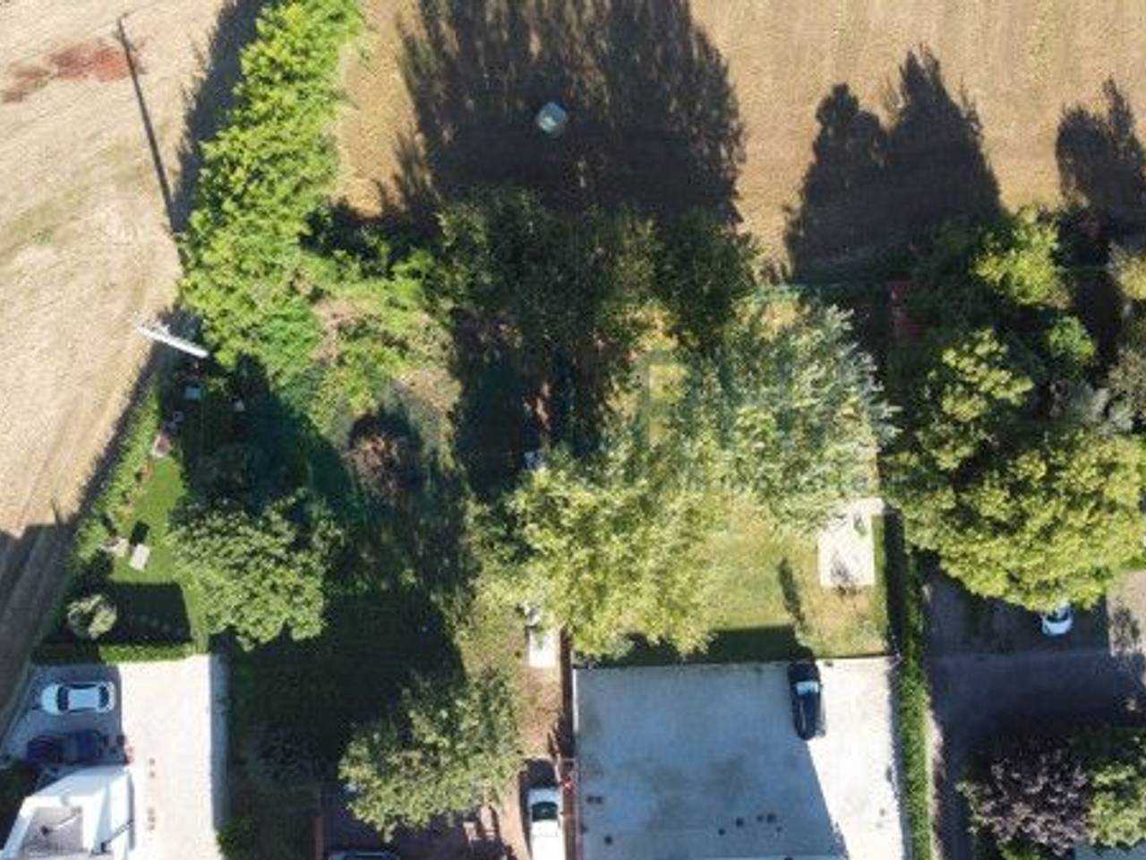 immagine annuncio 3 di 6