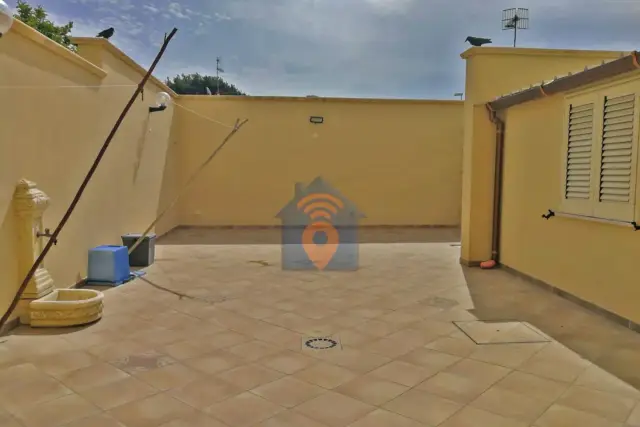 insertion image