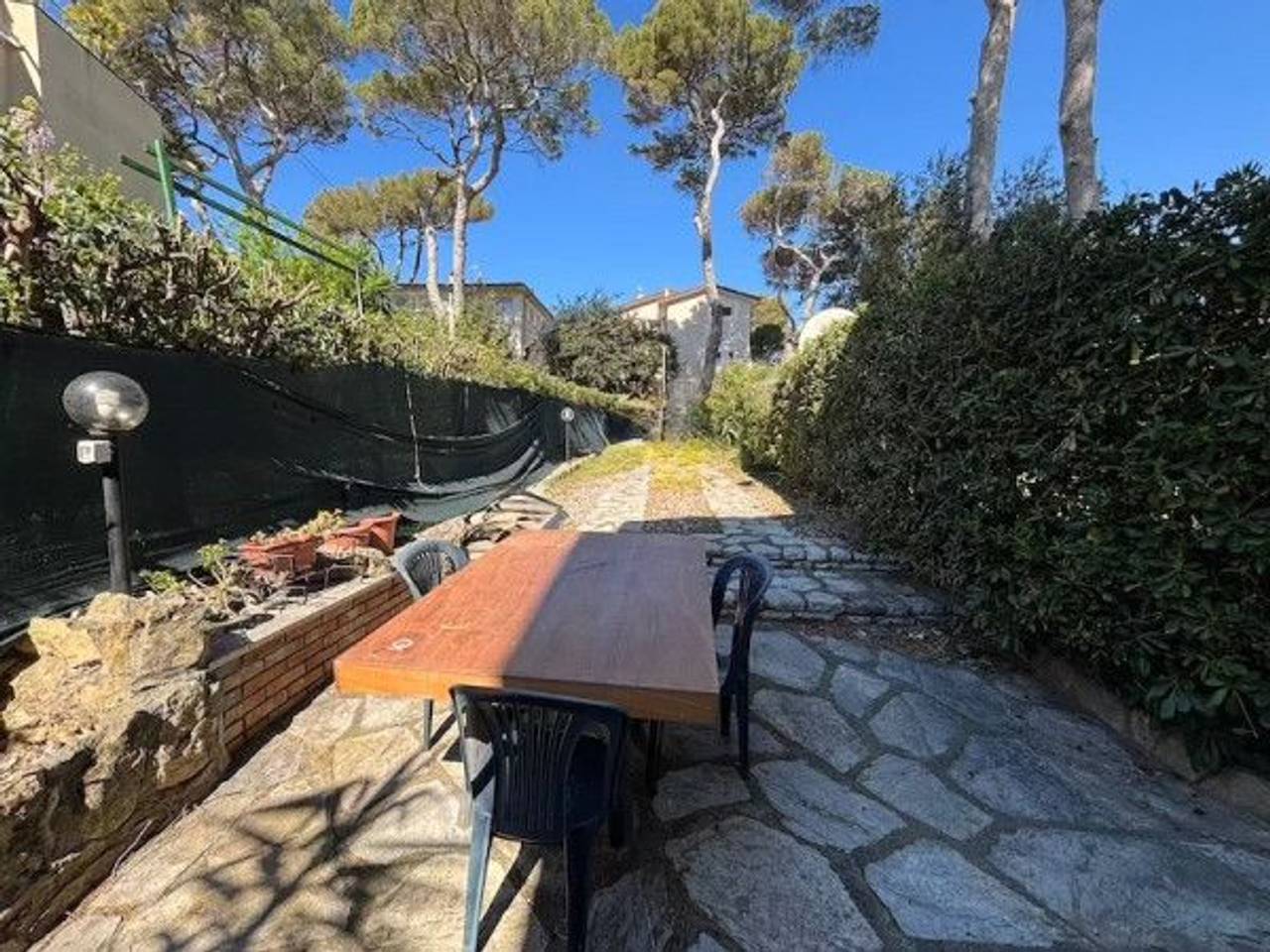 immagine annuncio 5 di 7