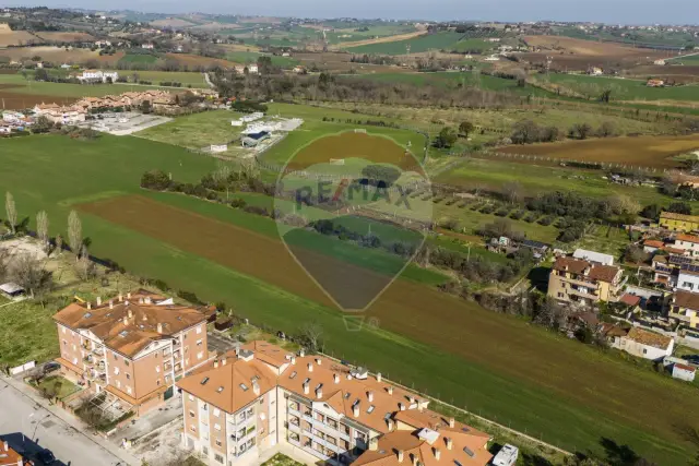 insertion image
