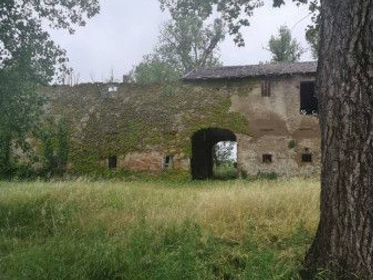 immagine annuncio 5 di 14