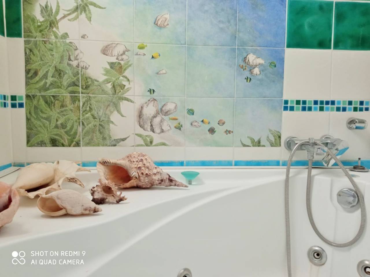 immagine annuncio 2 di 11