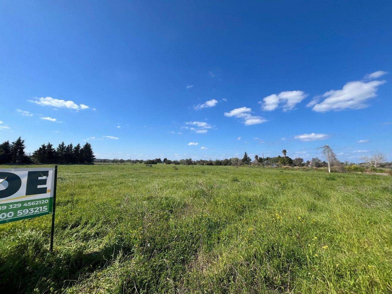 immagine annuncio 9 di 11