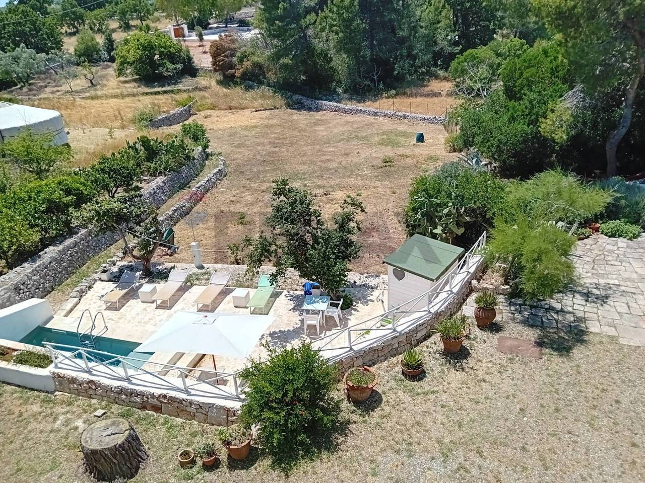 immagine annuncio 5 di 14