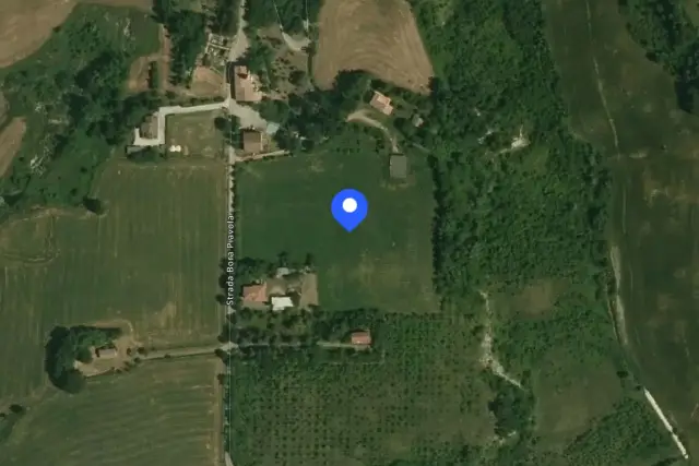 insertion image