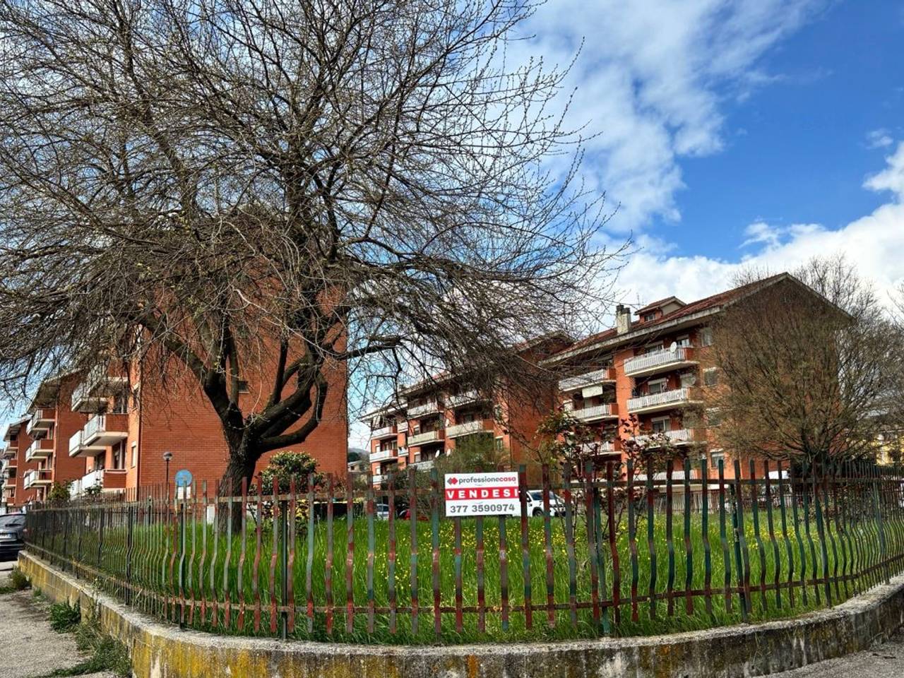 immagine annuncio 12 di 15