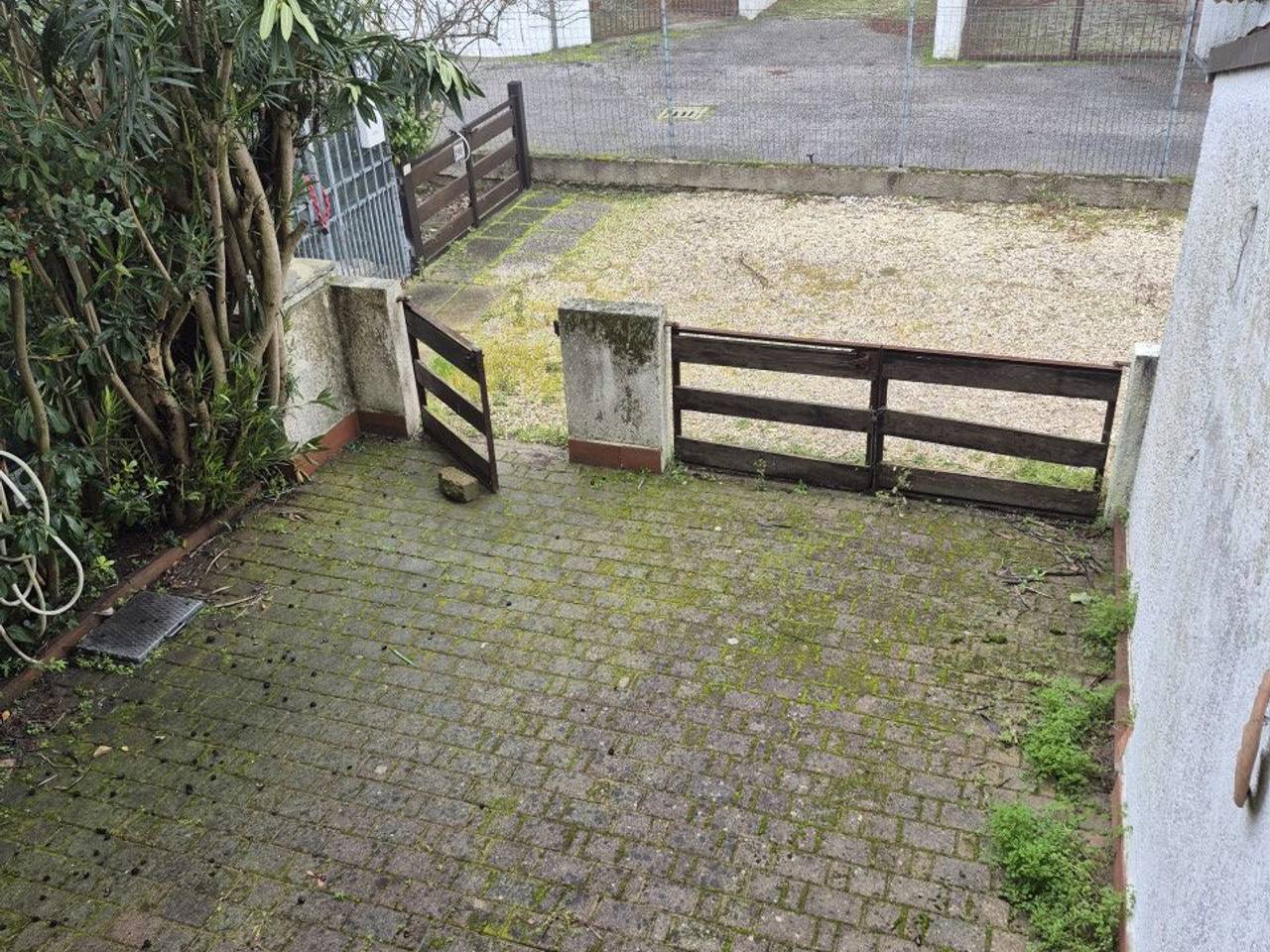 immagine annuncio 3 di 14