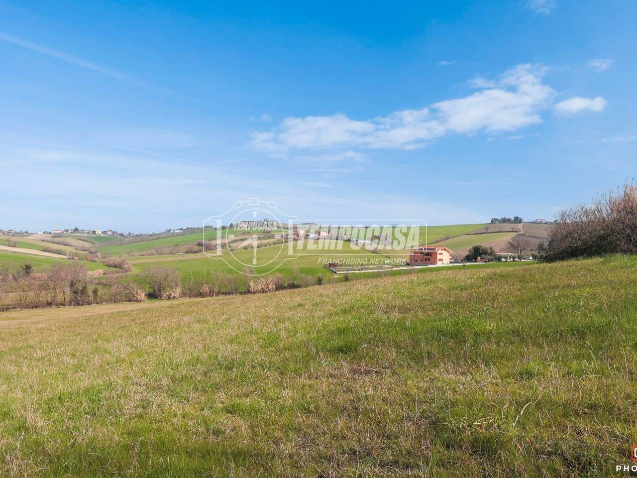 immagine annuncio 5 di 12