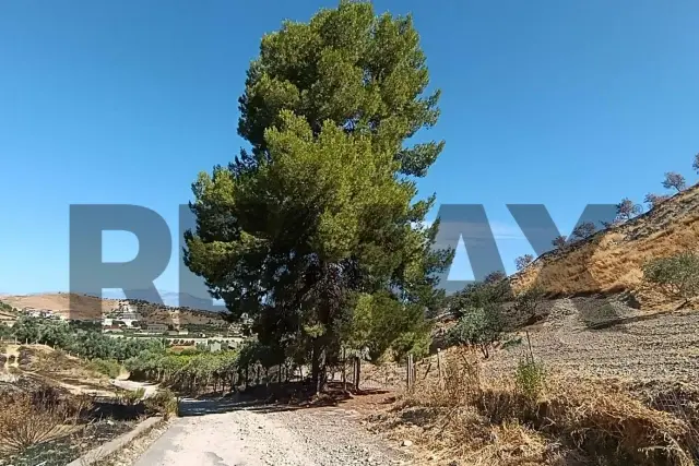 insertion image