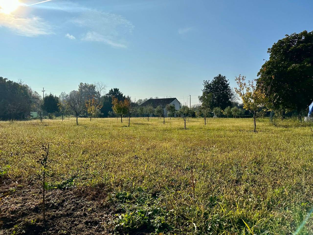 immagine annuncio 3 di 8