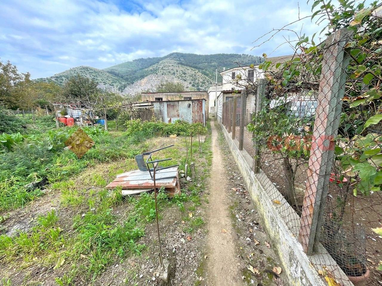 immagine annuncio 1 di 4