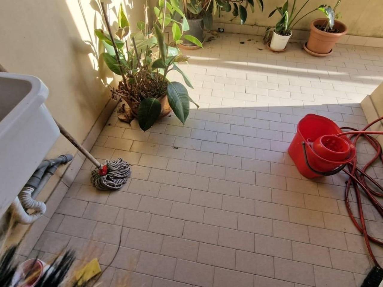 immagine annuncio 13 di 14