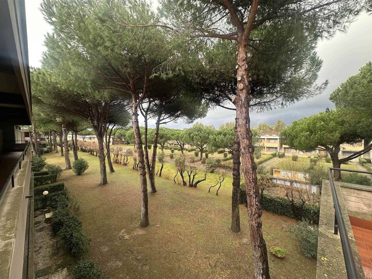 immagine annuncio 12 di 13