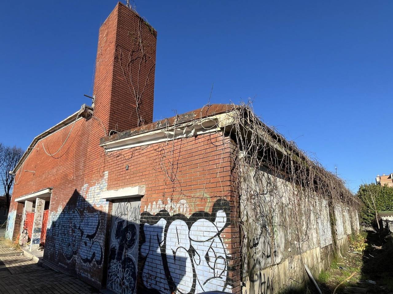 immagine annuncio 3 di 14