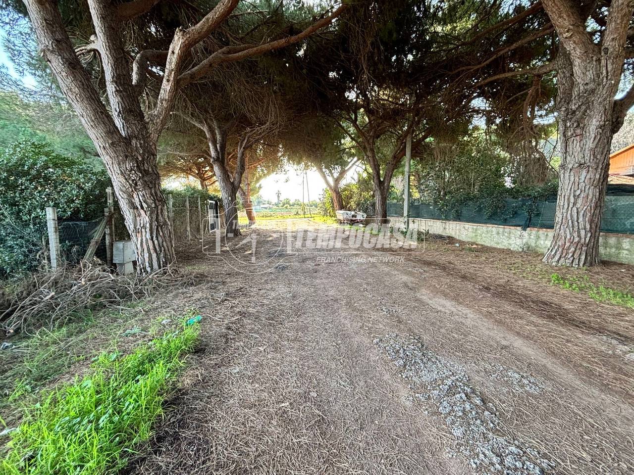 immagine annuncio 5 di 7