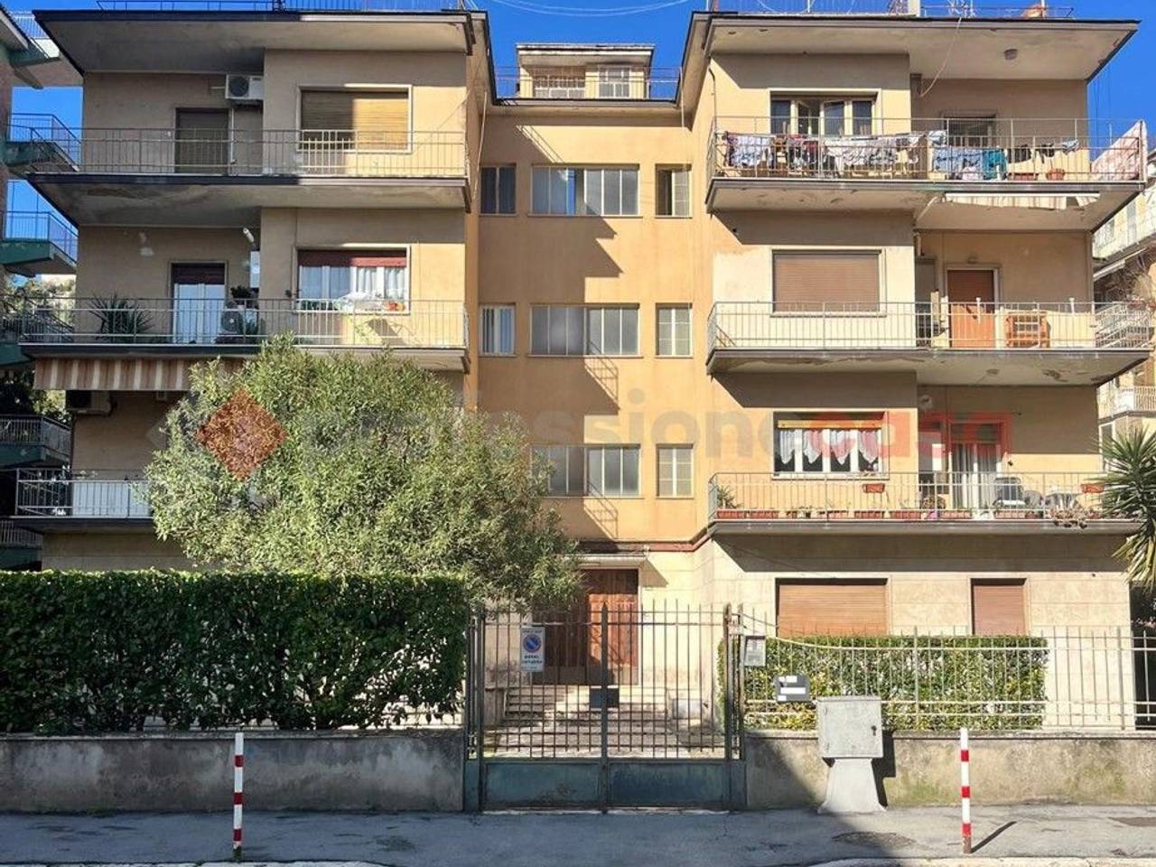 immagine annuncio 1 di 4