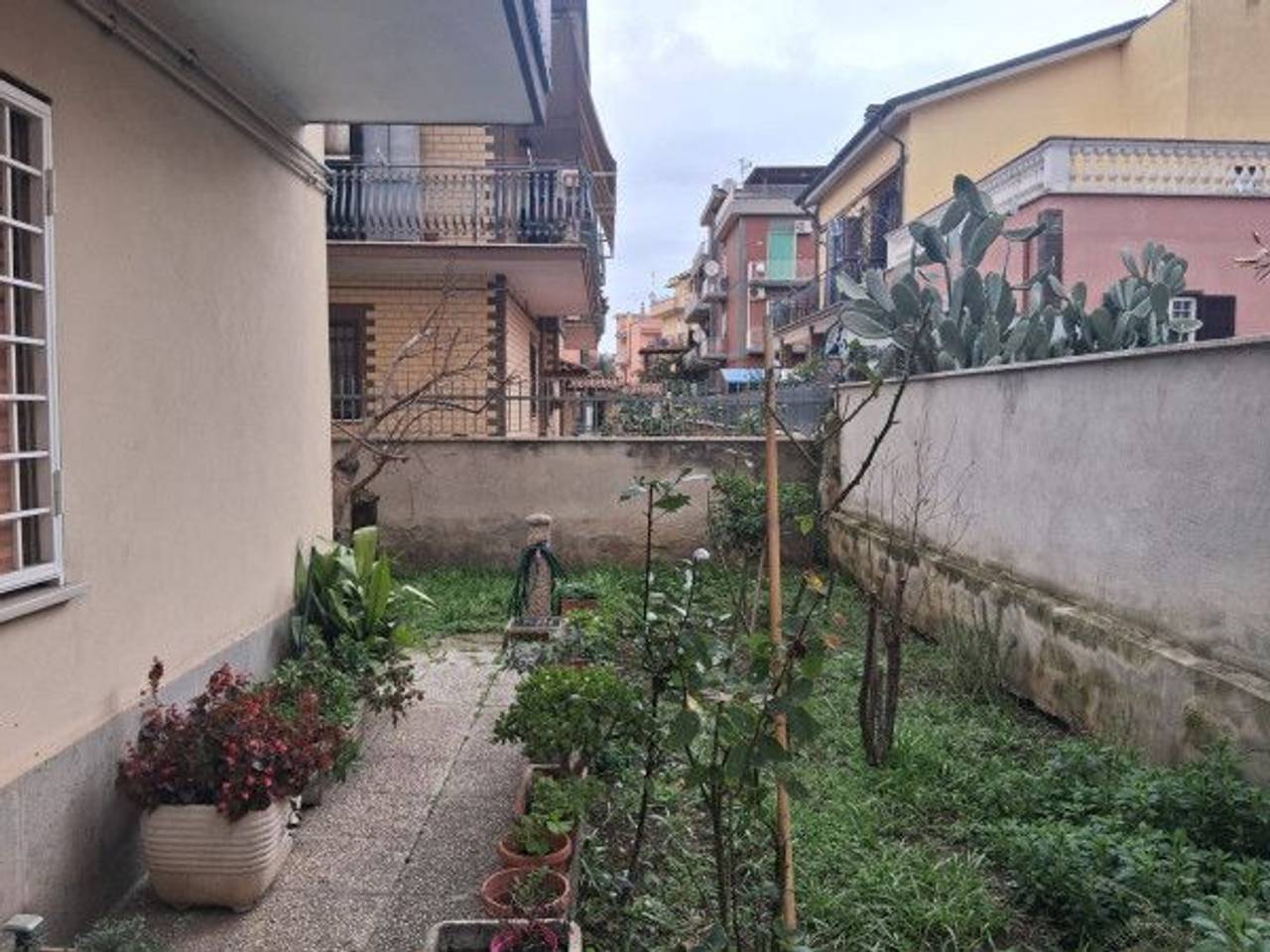 immagine annuncio 1 di 13