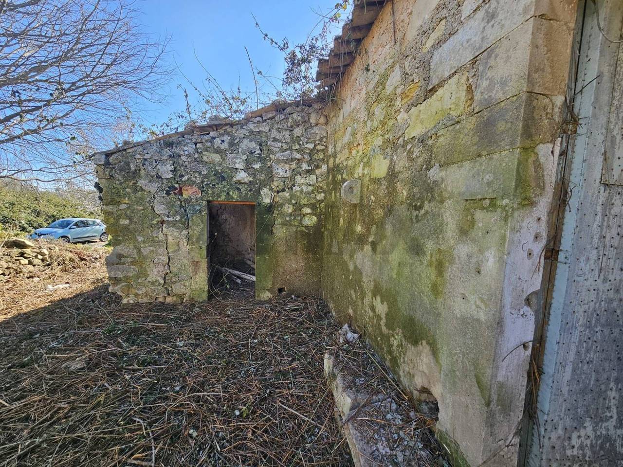 immagine annuncio 4 di 11