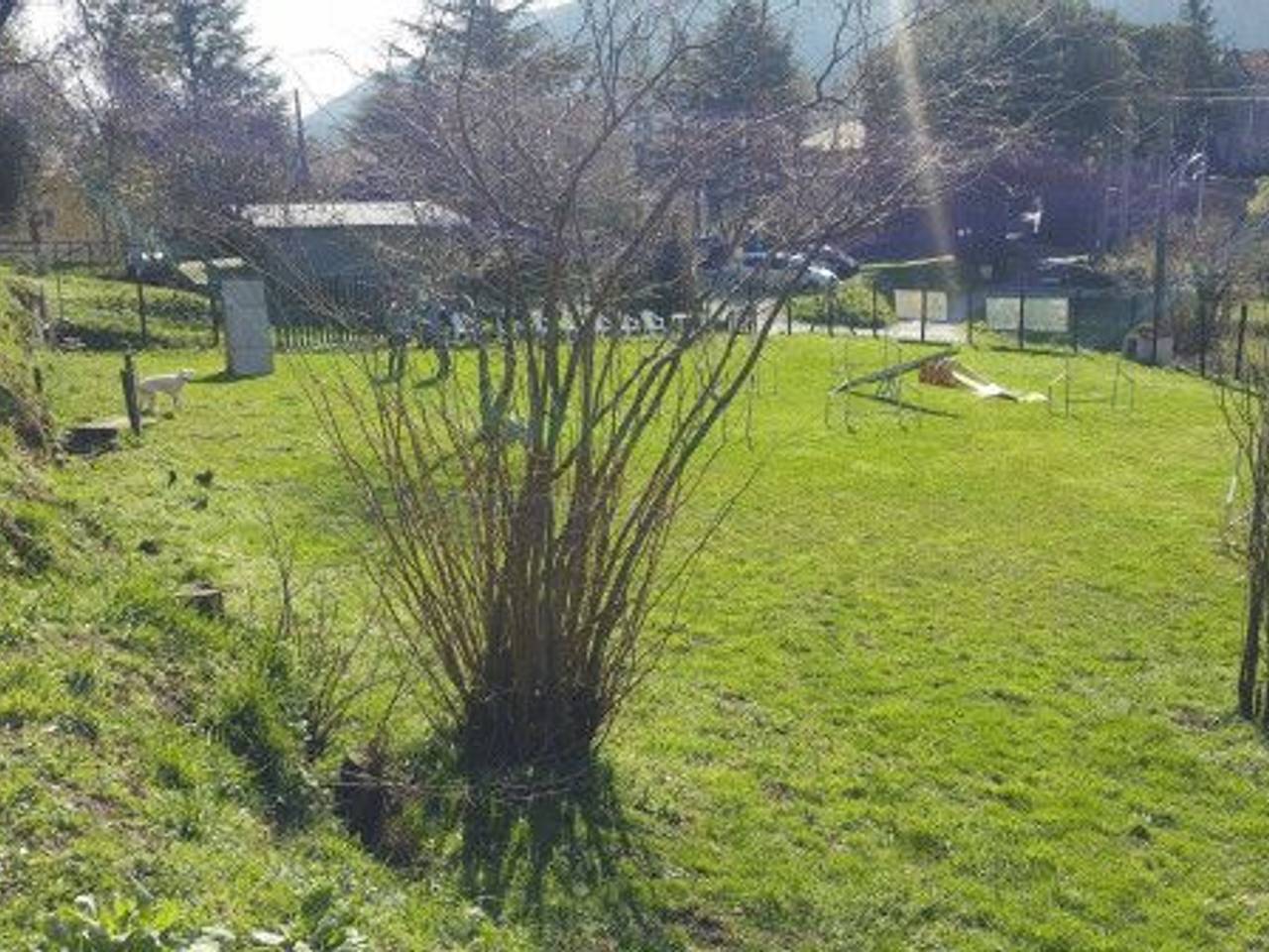 immagine annuncio 9 di 14