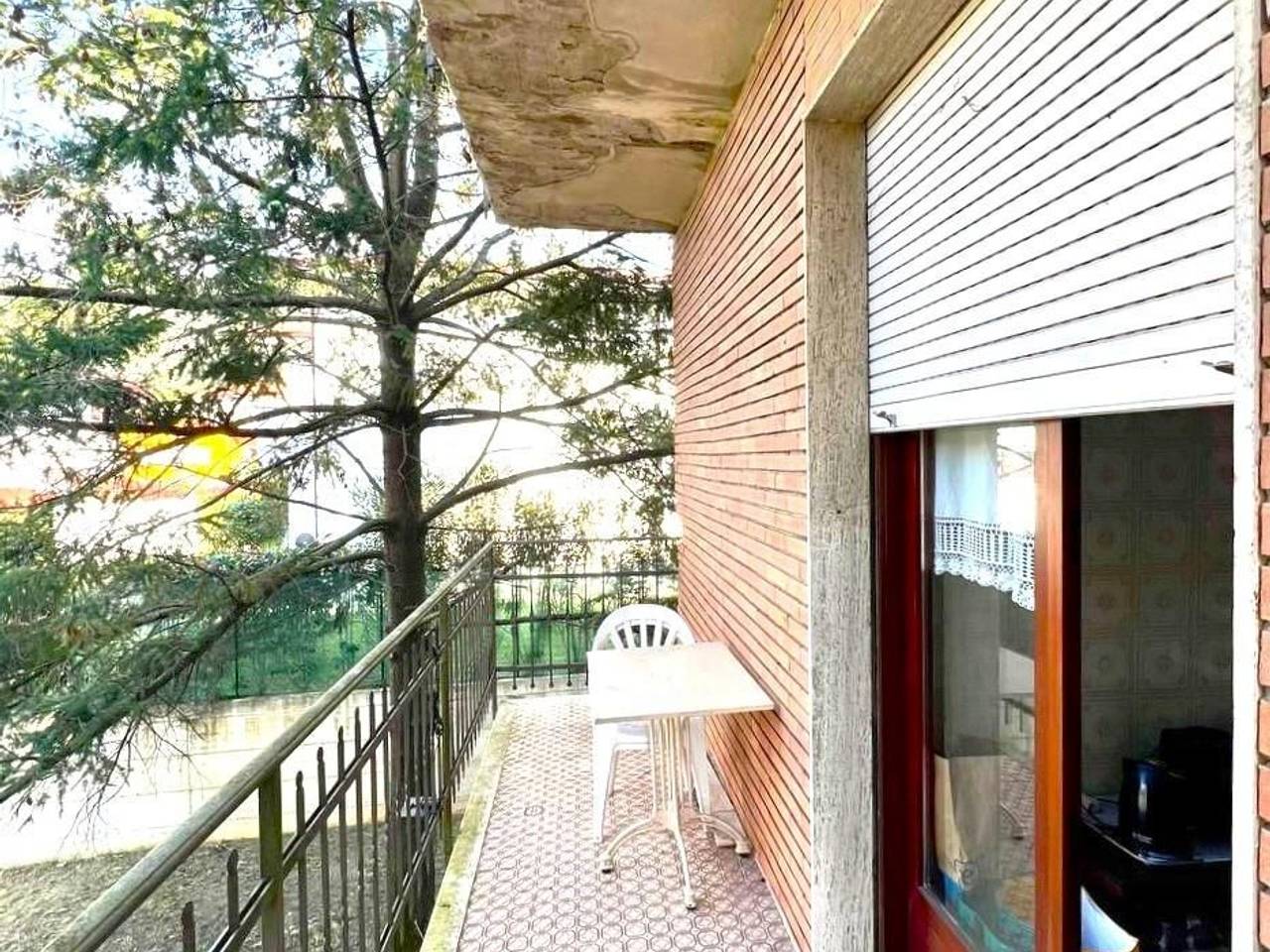 immagine annuncio 10 di 14