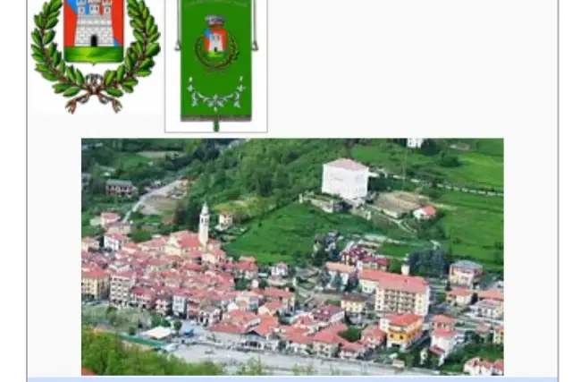 insertion image