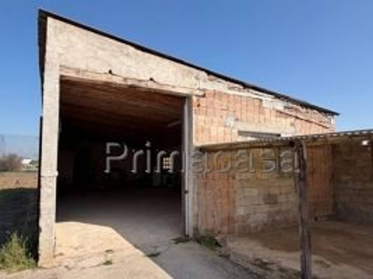 immagine annuncio 8 di 9