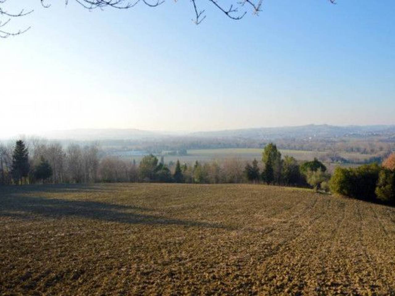 immagine annuncio 3 di 8