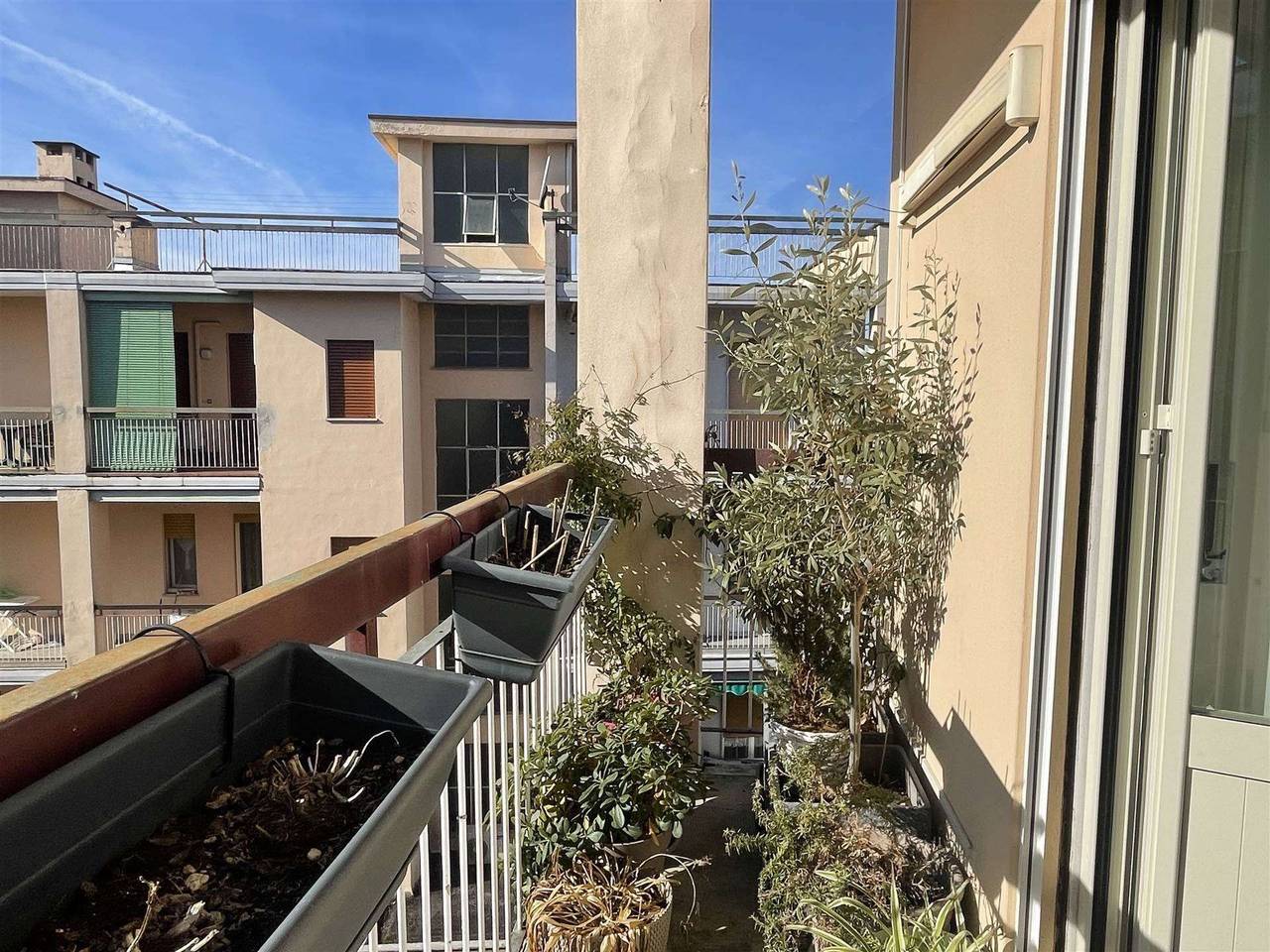 immagine annuncio 4 di 11