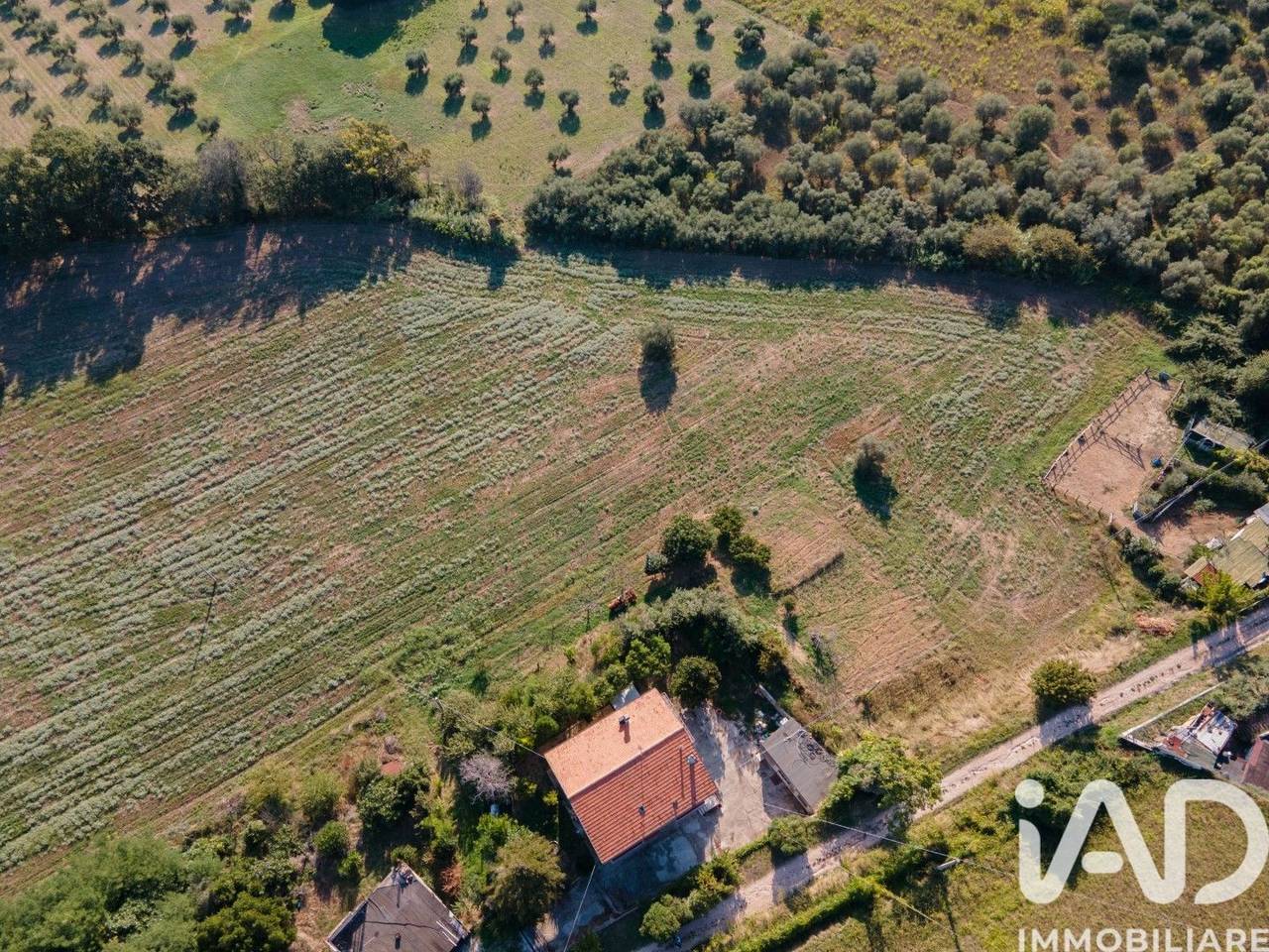 immagine annuncio 2 di 14