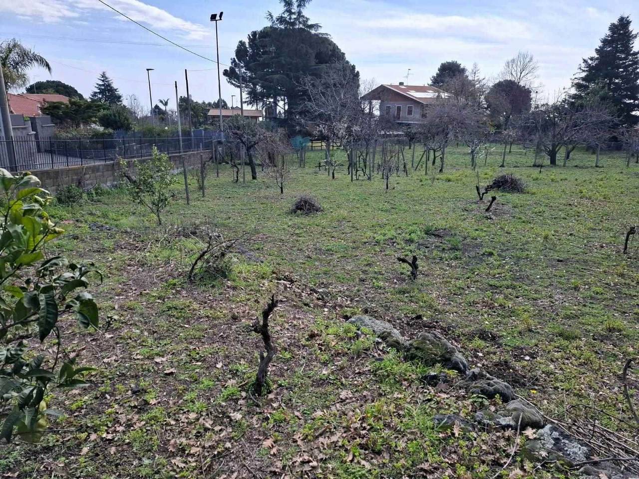 immagine annuncio 3 di 9