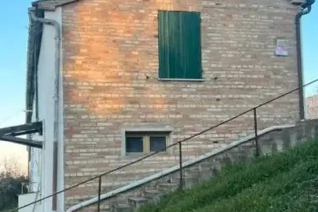 insertion image