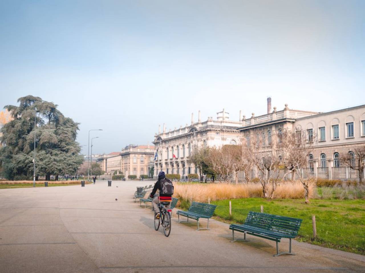 immagine annuncio 8 di 11