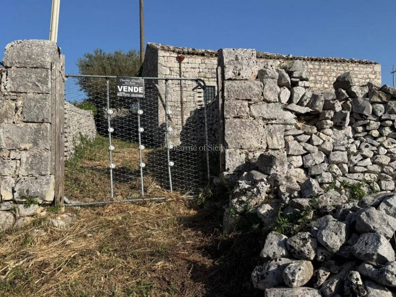 immagine annuncio 11 di 12