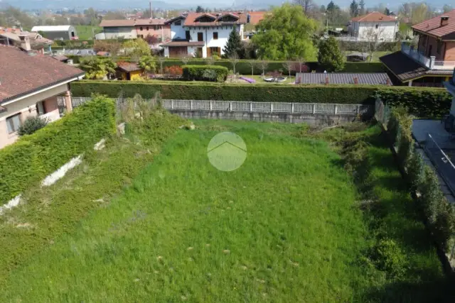 insertion image