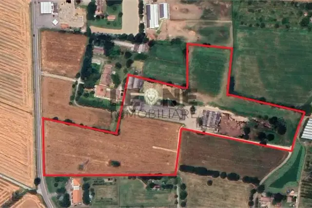 insertion image