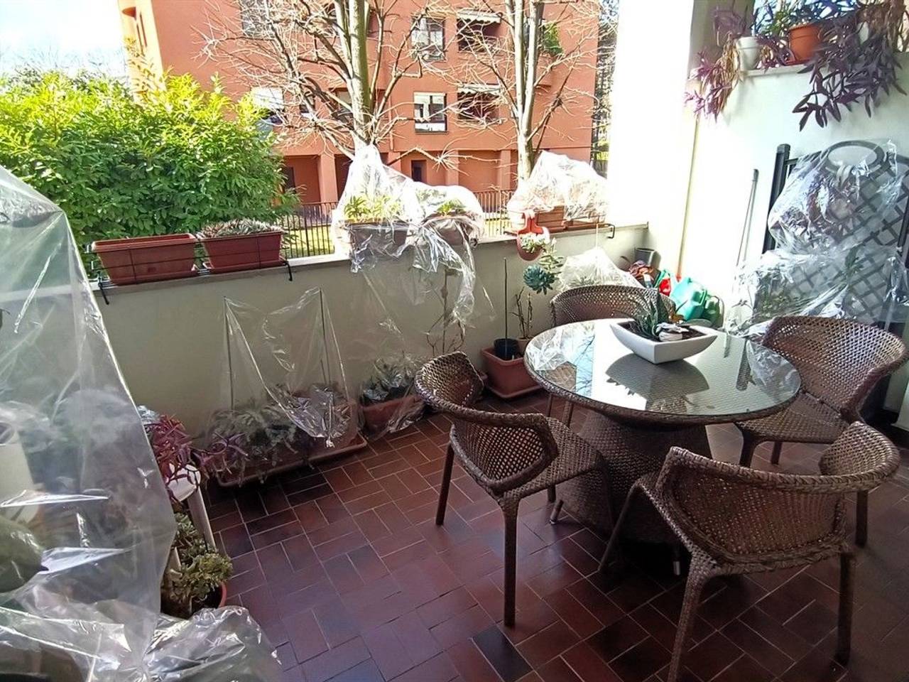 immagine annuncio 8 di 15